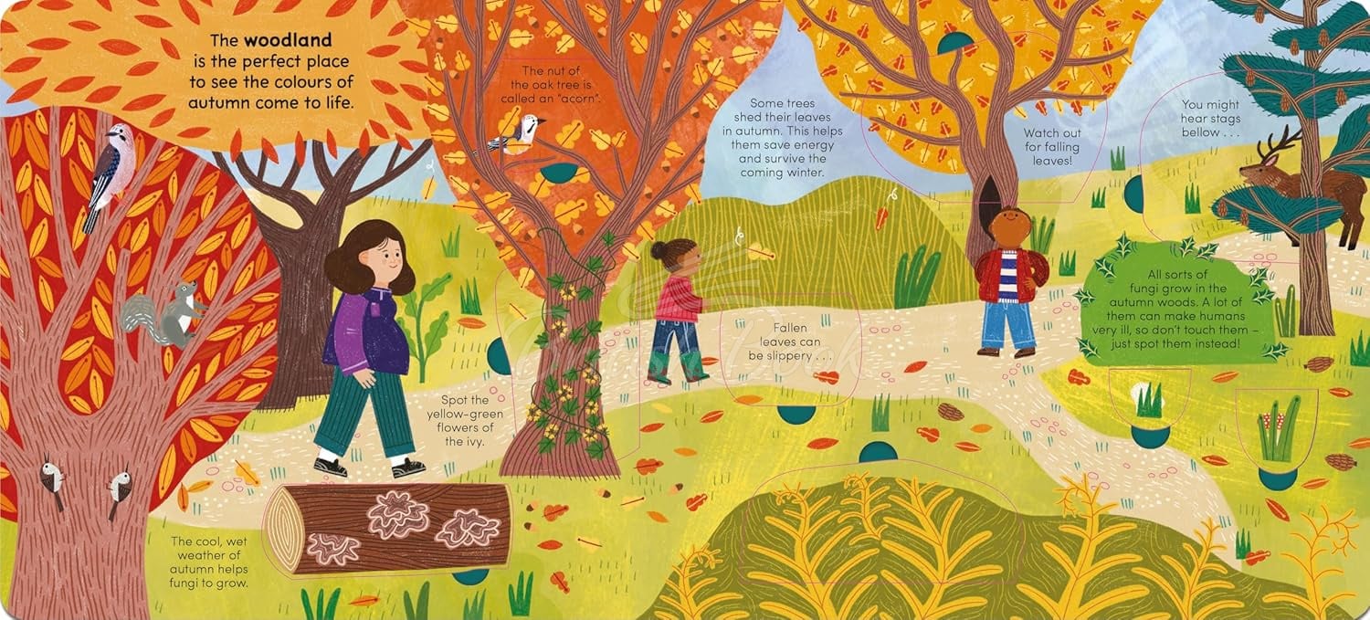 Книга A Walk in... Autumn изображение 5