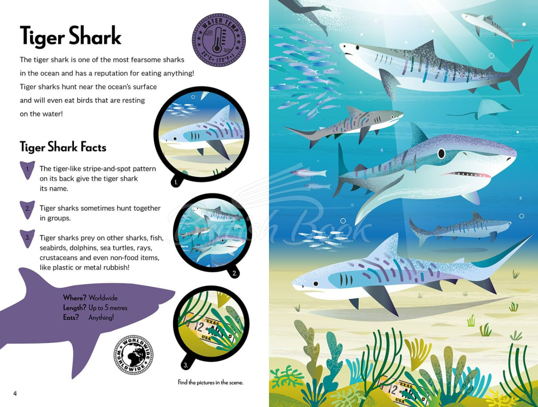 Книга Fantastic Fearsome Sharks изображение 2