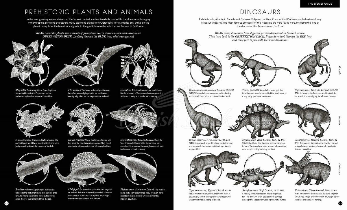 Книга Illumisaurus зображення 1