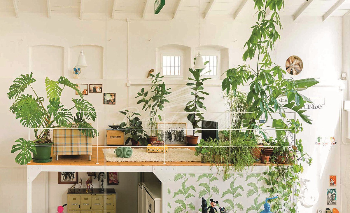 Книга Ultimate Wonder Plants: Your Urban Jungle Interior изображение 3
