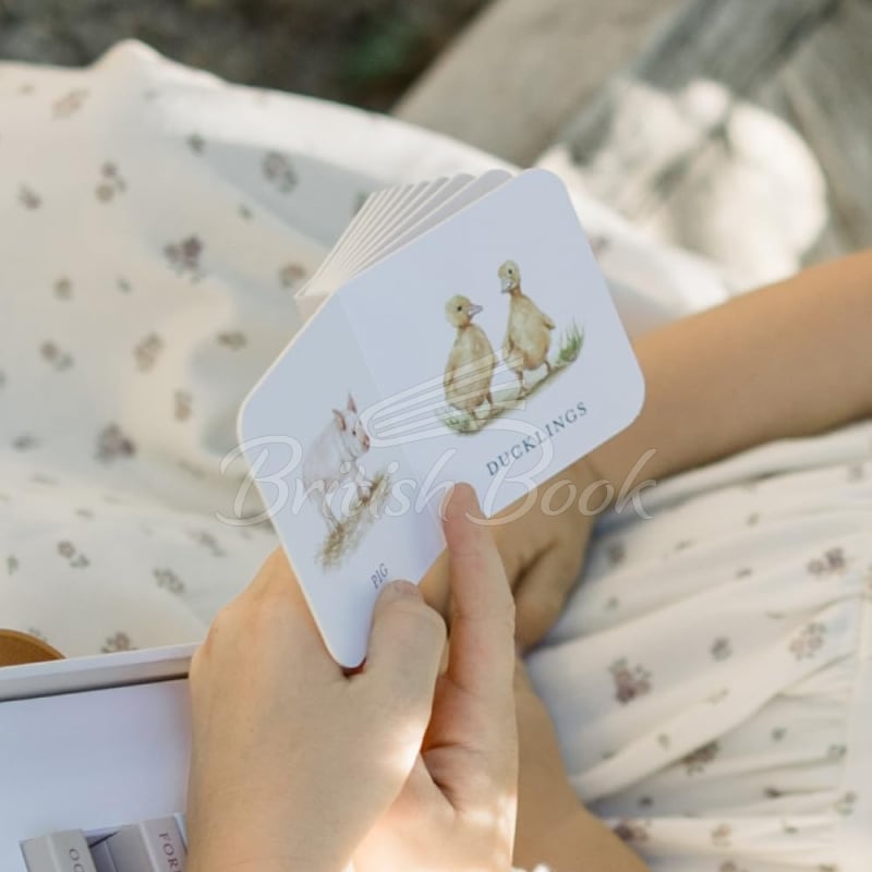 Набор книг Our Very Little Library Board Book Set изображение 2