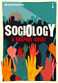 Introducing Sociology (A Graphic Guide)