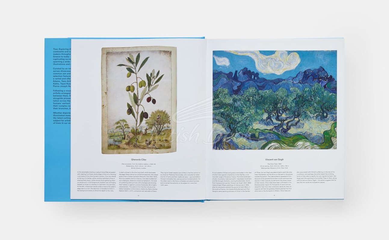 Книга Tree: Exploring the Arboreal World зображення 4