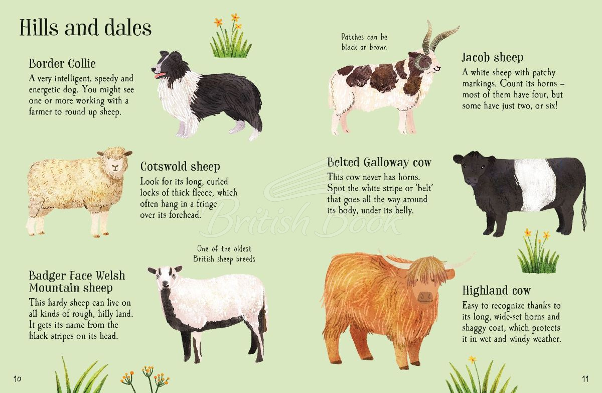 Книга Farm Animals to Spot изображение 3