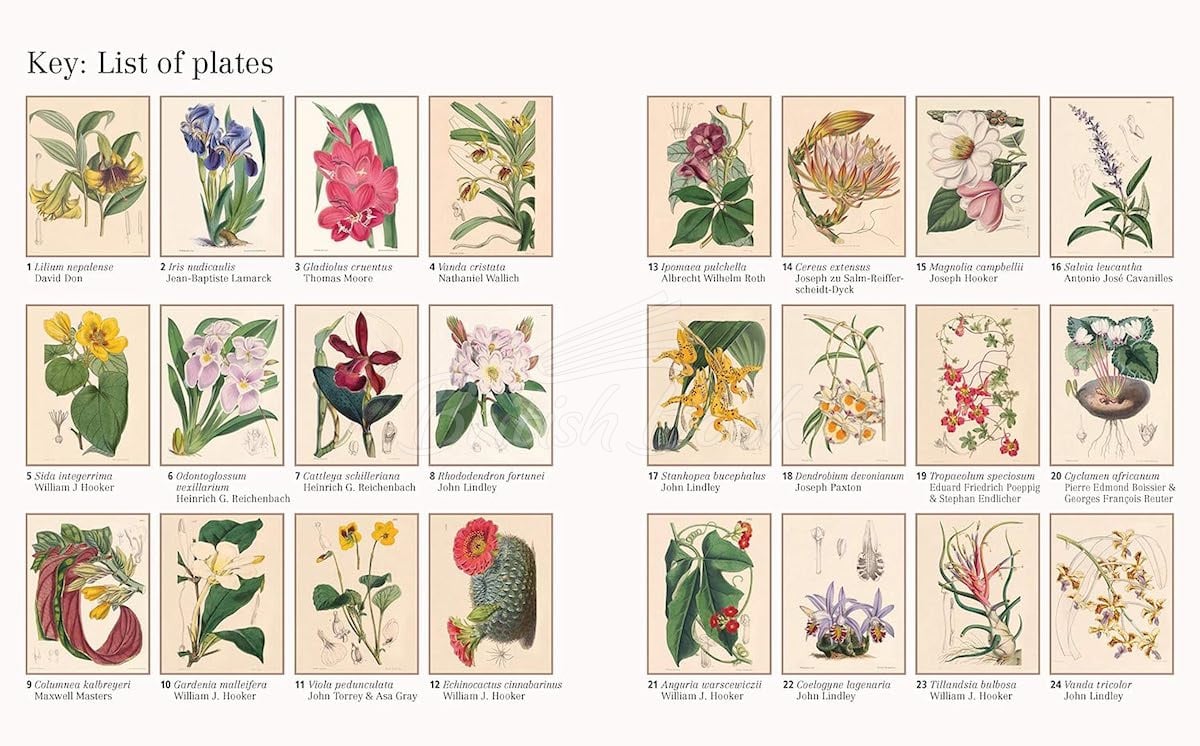 Книга The Kew Gardens Beautiful Flowers Colouring Book изображение 1