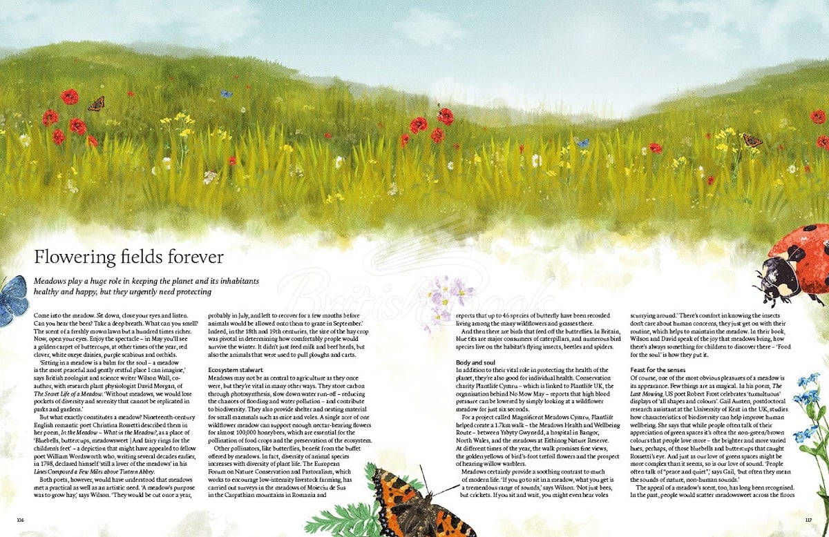 Журнал Breathe Magazine Issue 63 зображення 3