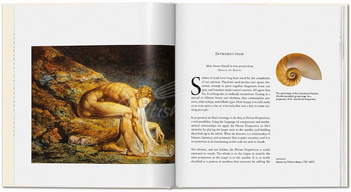 Книга The Secret Code зображення 2