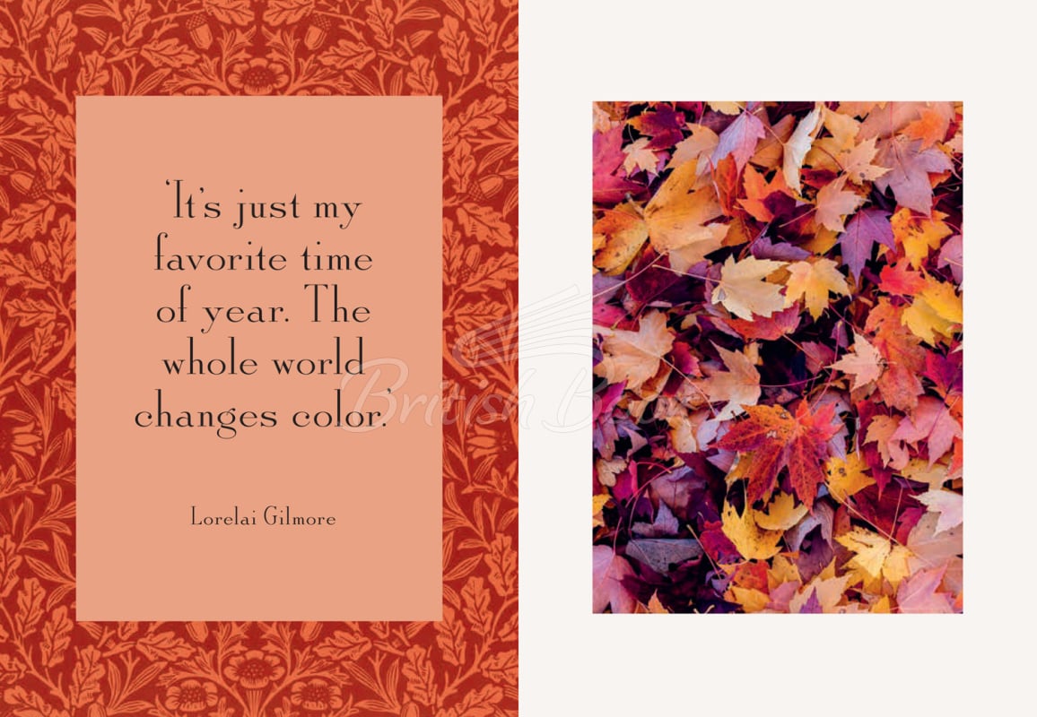 Книга Fall into Fall: The Unofficial Guide to Cozy Season for Every Gilmore Girls Obsessive изображение 3