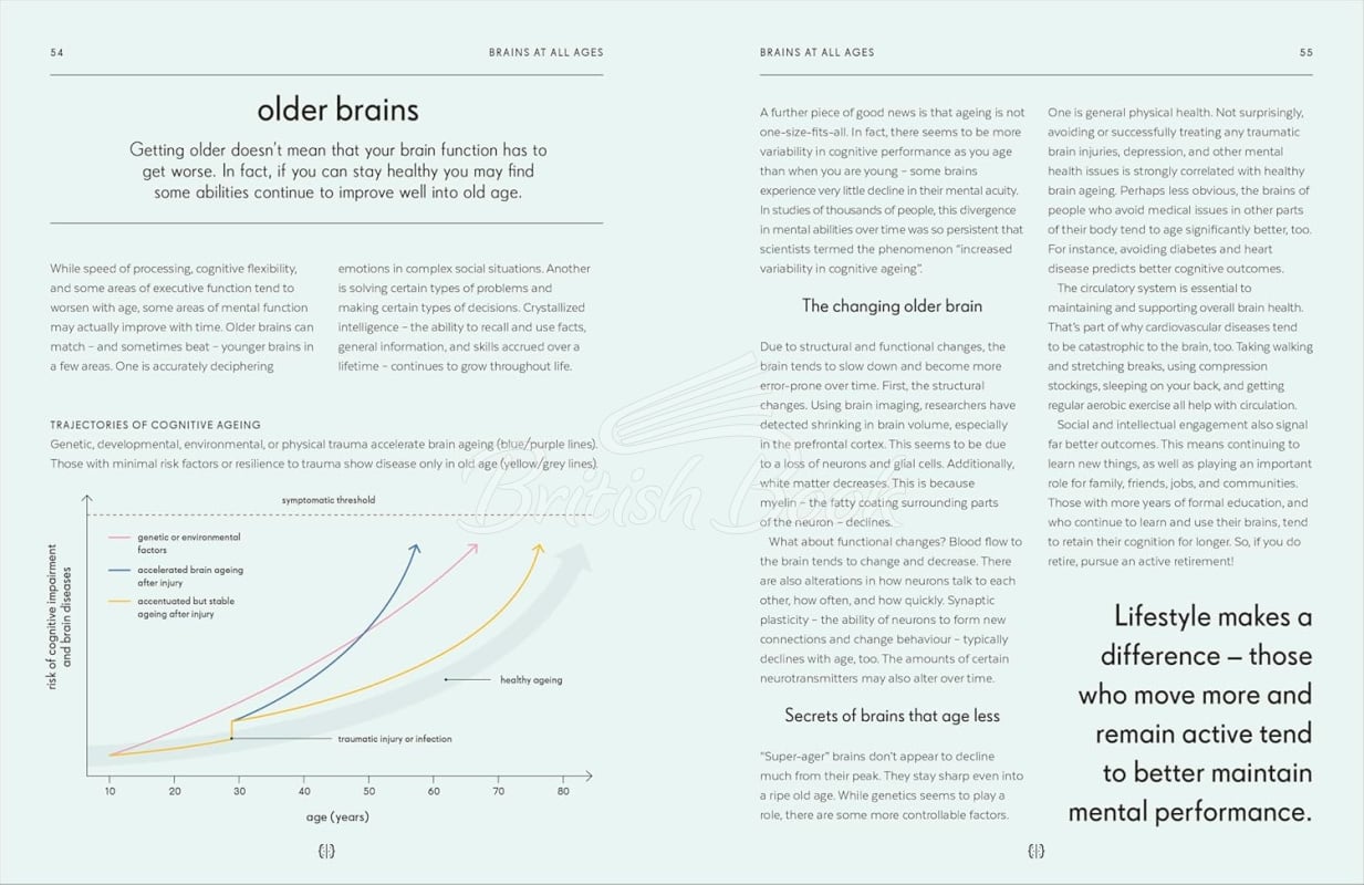 Книга Brain: An Owner's Guide изображение 3