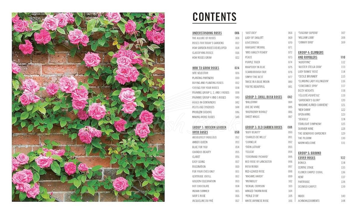 Книга Roses зображення 2