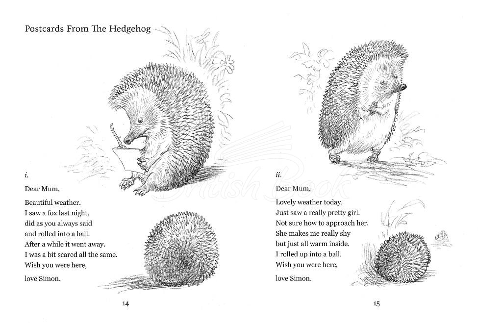 Книга Poems to Fall in Love With зображення 3