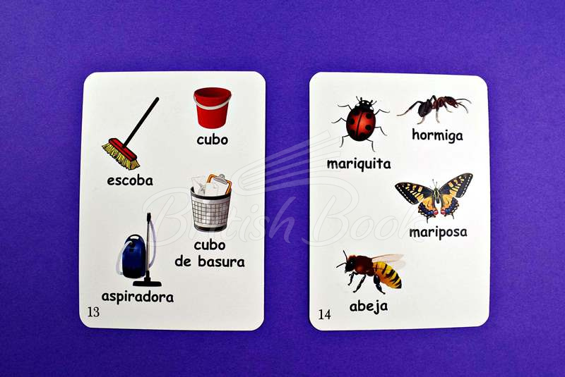 Картки Fun Card Spanish: XXL Spanish My First 600 Words зображення 6