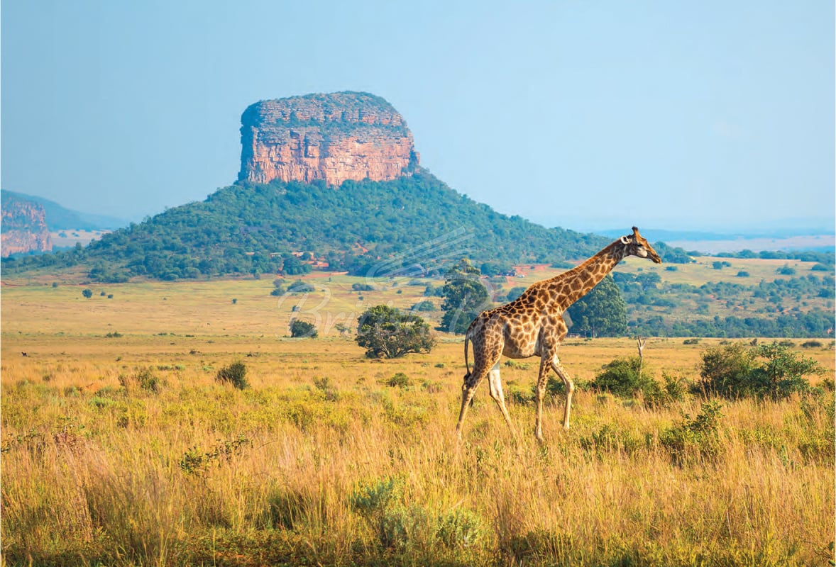 Книга 150 National Parks You Need to Visit Before You Die зображення 3