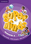 Super Minds 6 Flashcards