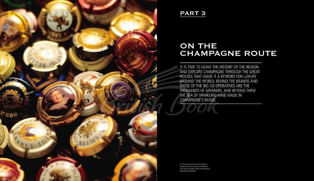 Книга Champagne: Wine of Kings and the King of Wines зображення 1