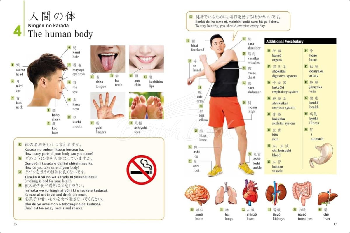 Книга Japanese Picture Dictionary изображение 5