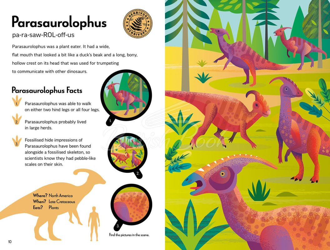 Книга Deadly Dangerous Dinosaurs зображення 5