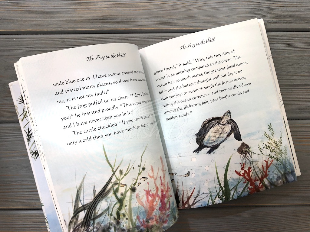 Книга Illustrated Stories from China зображення 10