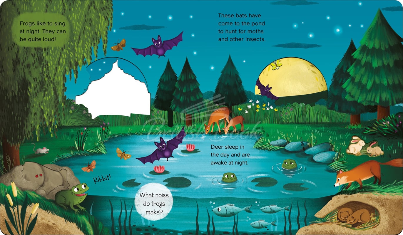 Книга What Can You See? At Night зображення 1