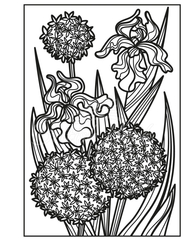 Книга Flowers Magic Painting Book зображення 2