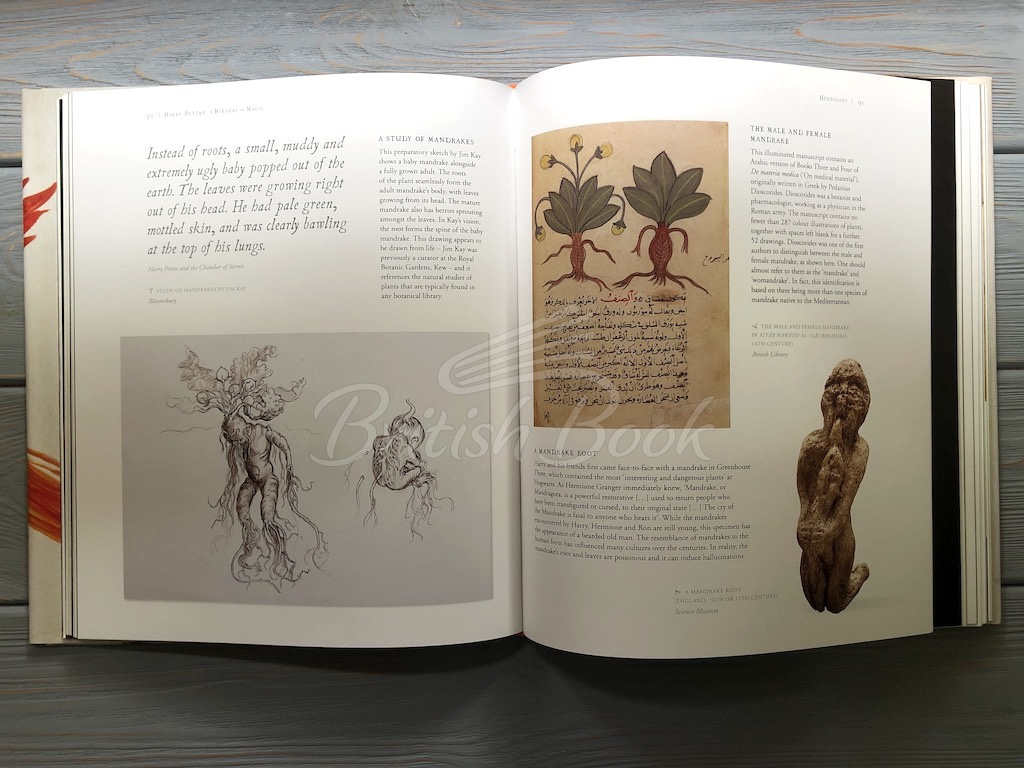 Книга Harry Potter: A History of Magic – The Book of the Exhibition изображение 8