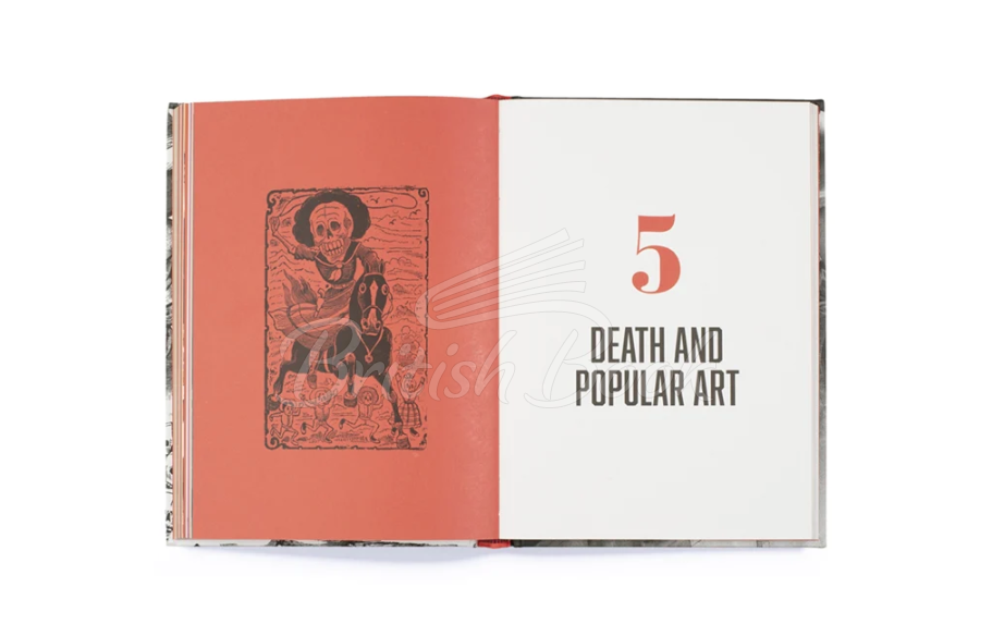 Книга The Day of the Dead: A Visual Compendium изображение 5