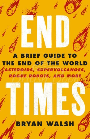 Книга End Times: A Brief Guide to The End of The World зображення