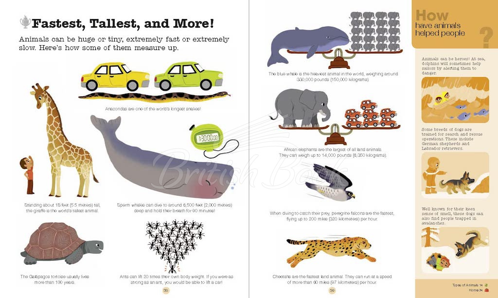 Книга Do You Know? Animals of Land, Sea, and Air изображение 6