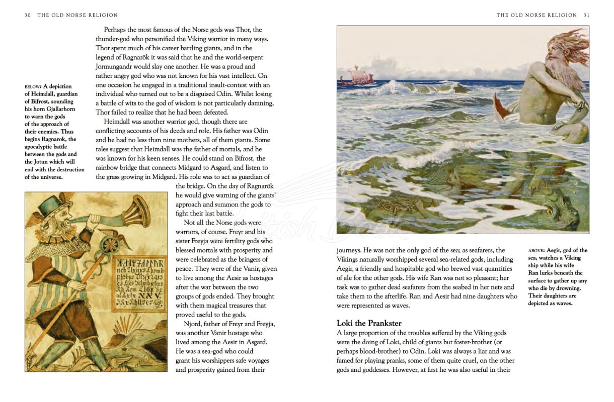 Книга Vikings: A History of the Norse People изображение 1