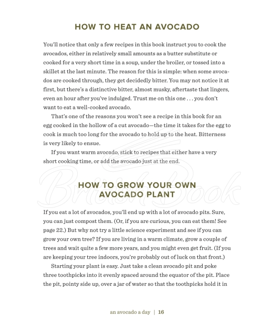 Книга An Avocado a Day: More than 70 Recipes for Enjoying Nature's Most Delicious Superfood зображення 19