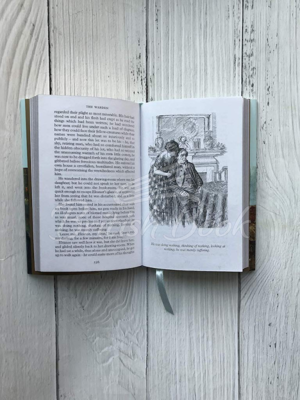 Книга The Warden зображення 6