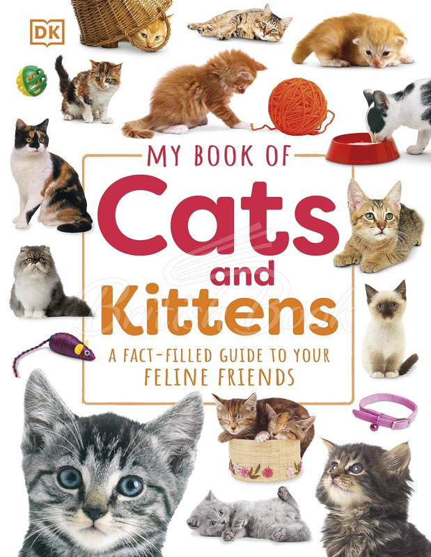 Книга My Book of Cats and Kittens изображение