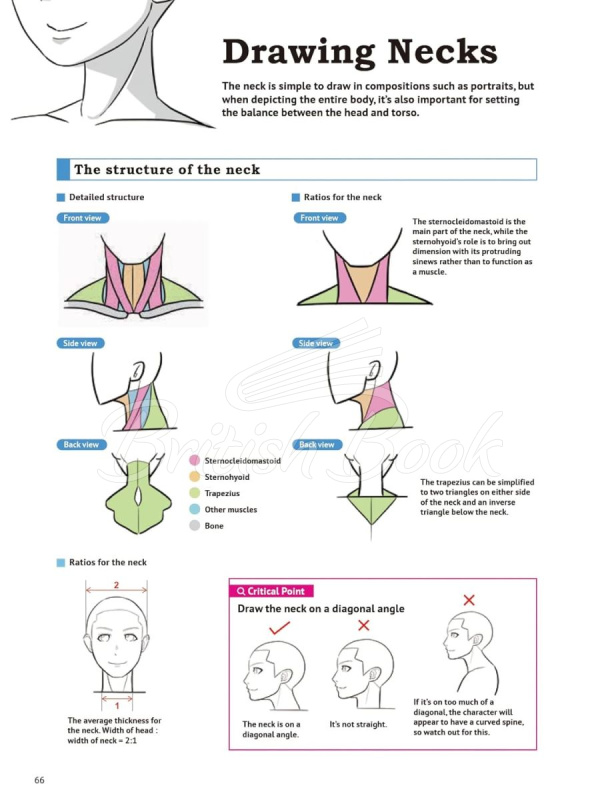 Книга How to Create Manga: Drawing the Human Body зображення 7