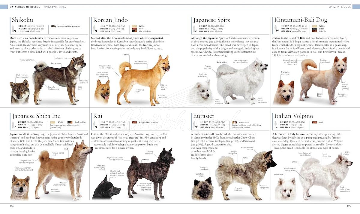Книга The Dog Encyclopedia изображение 5
