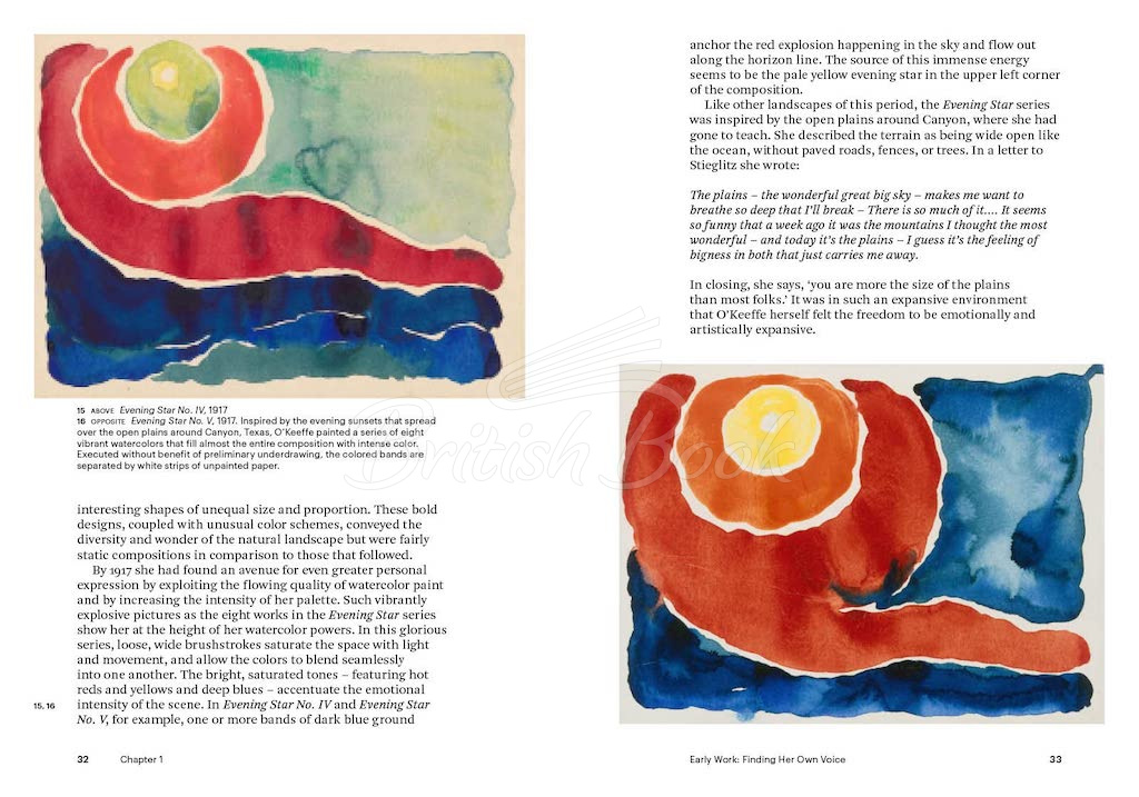 Книга Georgia O'Keeffe зображення 1