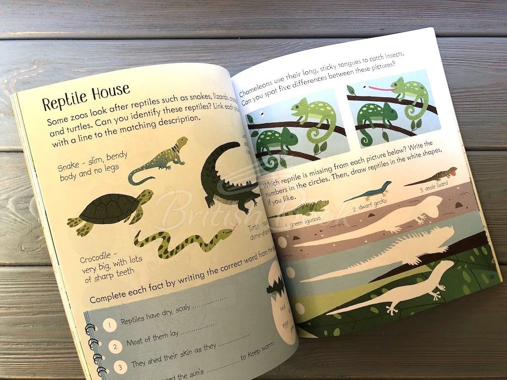 Книга Little Children's Zoo Activity Book зображення 6