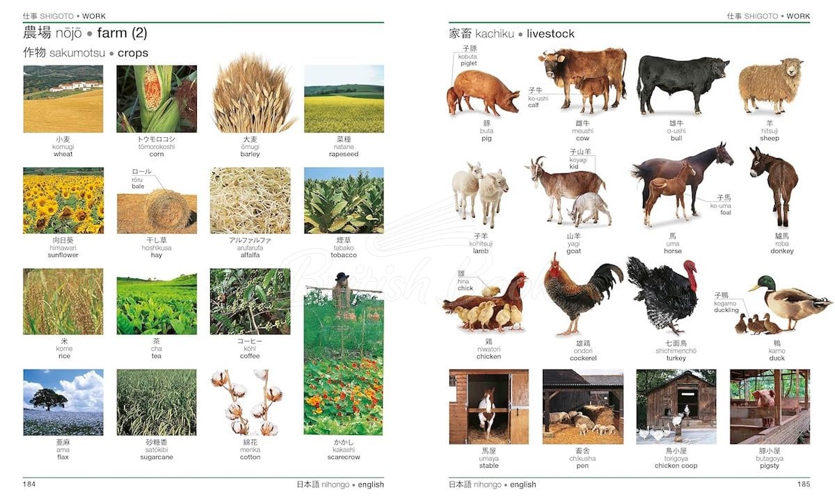 Книга Japanese-English Bilingual Visual Dictionary изображение 3
