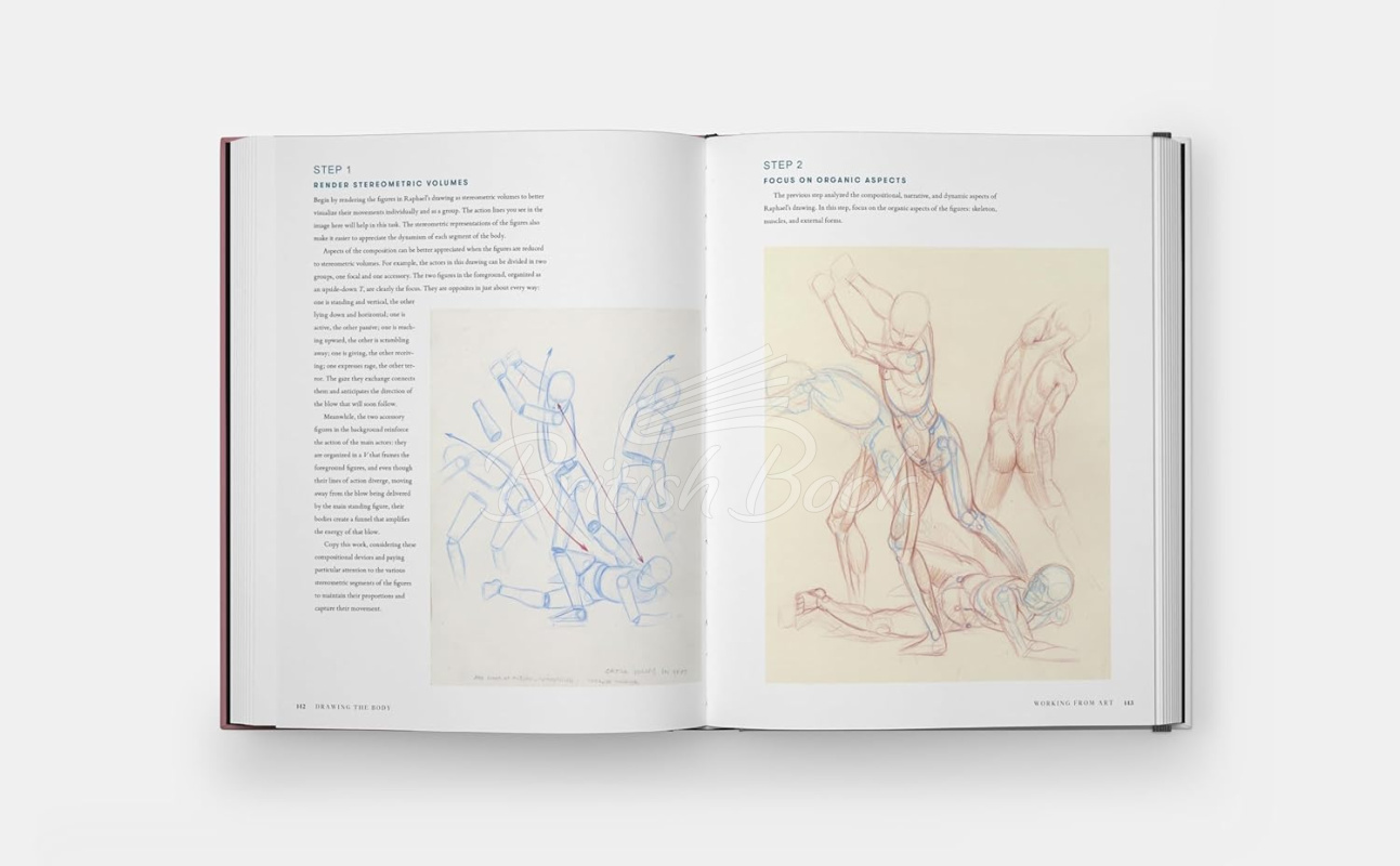 Книга Drawing the Body: Reading the Human Form in Art зображення 5