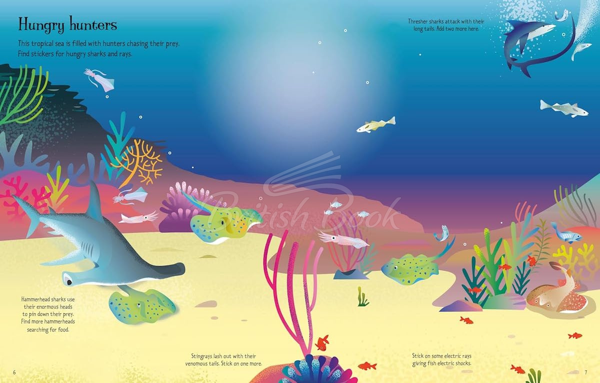 Книга First Sticker Book: Sharks and Rays изображение 1