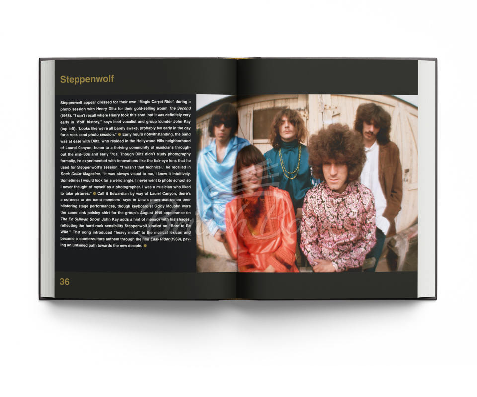 Книга What the Band Wore: Fashion & Music изображение 4
