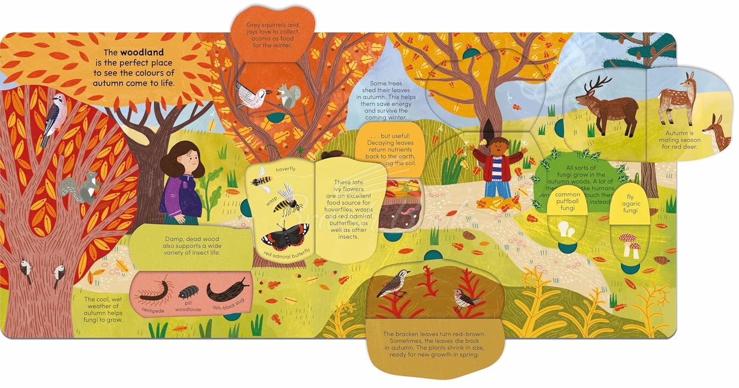 Книга A Walk in... Autumn изображение 6
