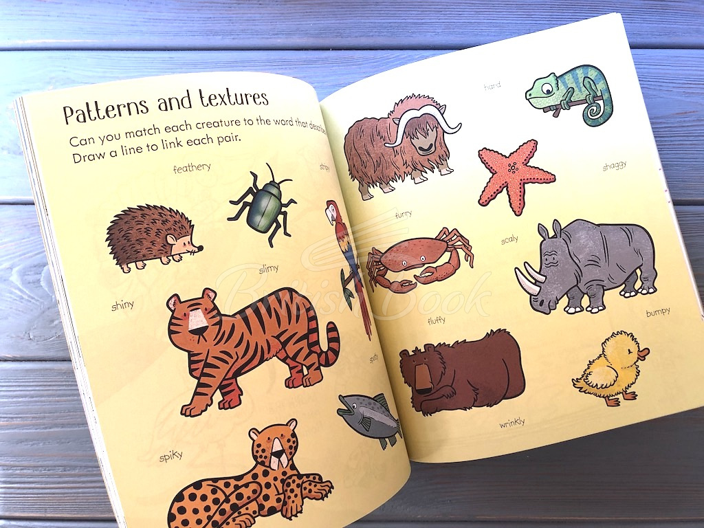 Книга Little Children's Zoo Activity Book изображение 2