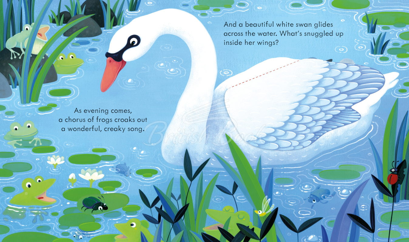 Книга Peep inside the Pond зображення 4