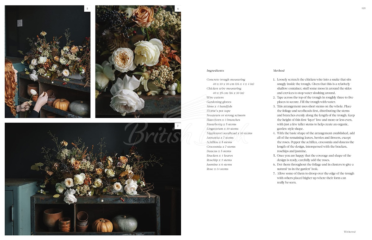 Книга Flower Philosophy зображення 2