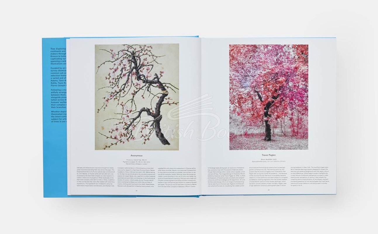 Книга Tree: Exploring the Arboreal World зображення 5