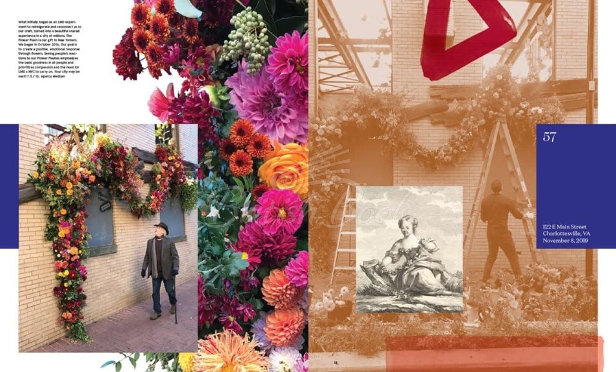 Книга Flower Flash изображение 11