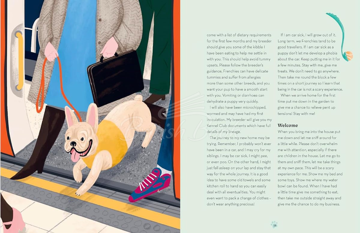 Книга French Bulldogs зображення 3
