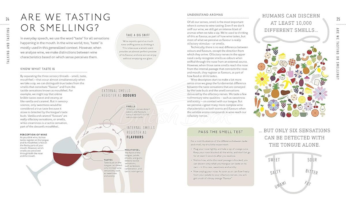 Книга Wine: A Tasting Course изображение 3