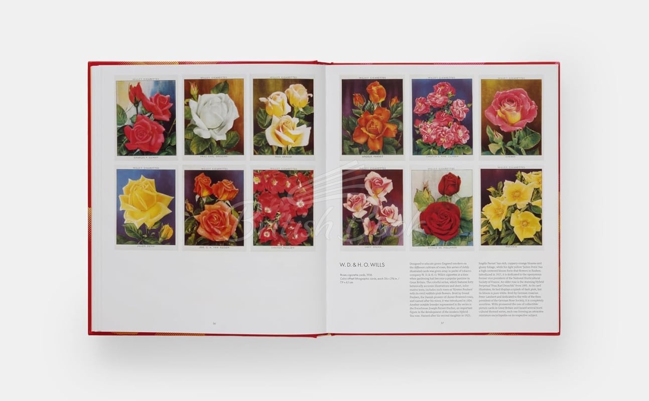 Книга The Rose Book зображення 4