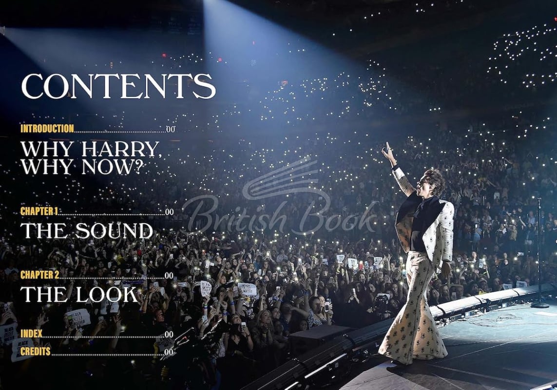 Книга Spotlight on a Legend: Harry Styles зображення 1